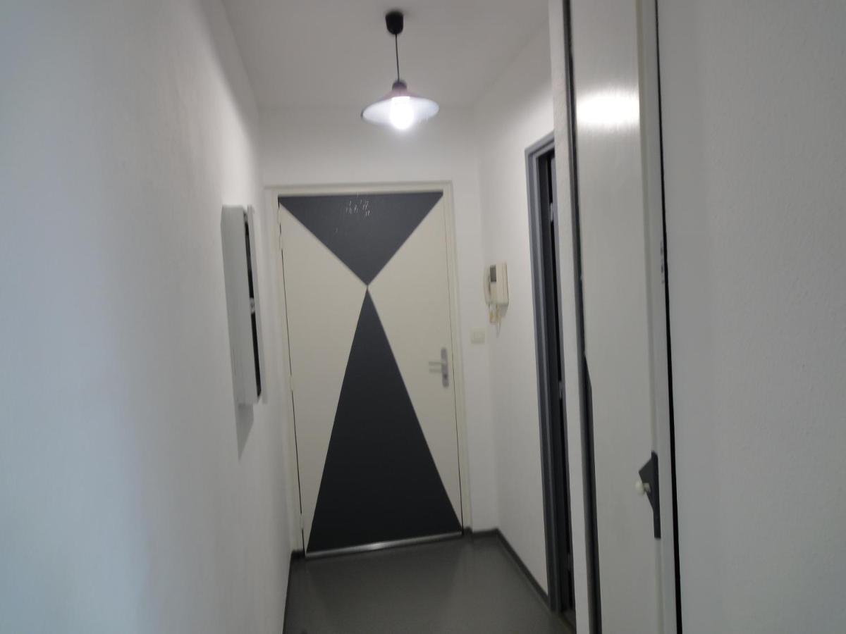 Logement Type Studio 1 Piece Proche Zenith Štrasburk Exteriér fotografie