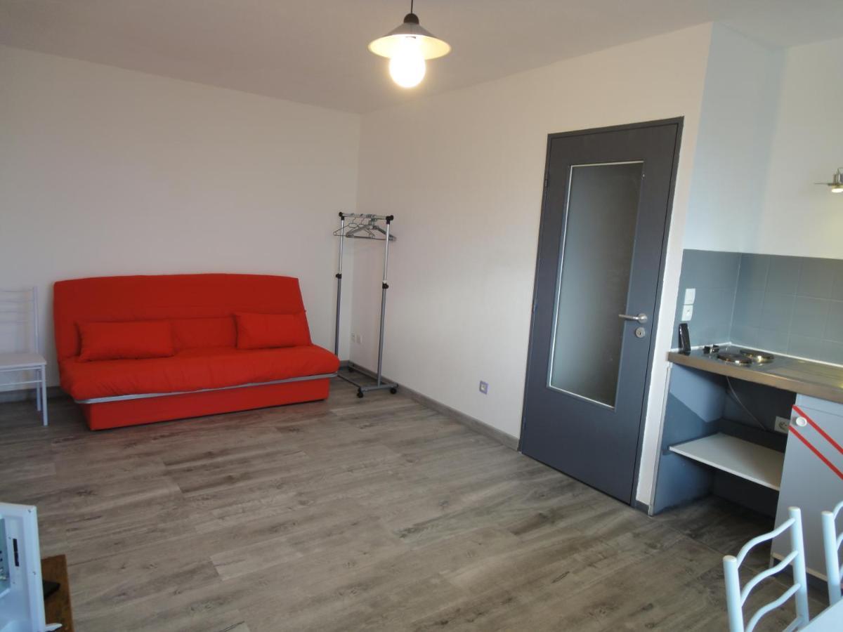 Logement Type Studio 1 Piece Proche Zenith Štrasburk Exteriér fotografie
