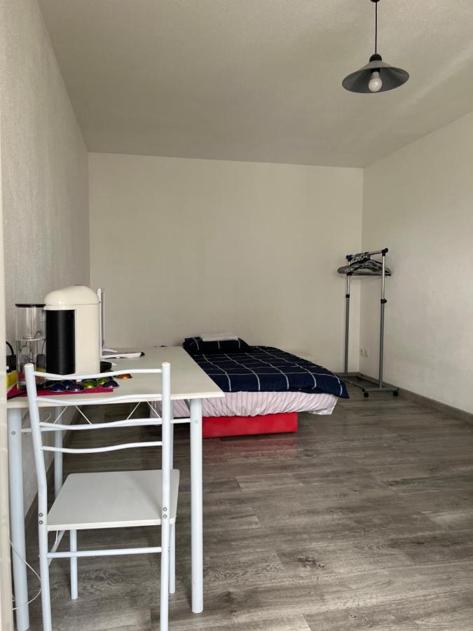 Logement Type Studio 1 Piece Proche Zenith Štrasburk Exteriér fotografie